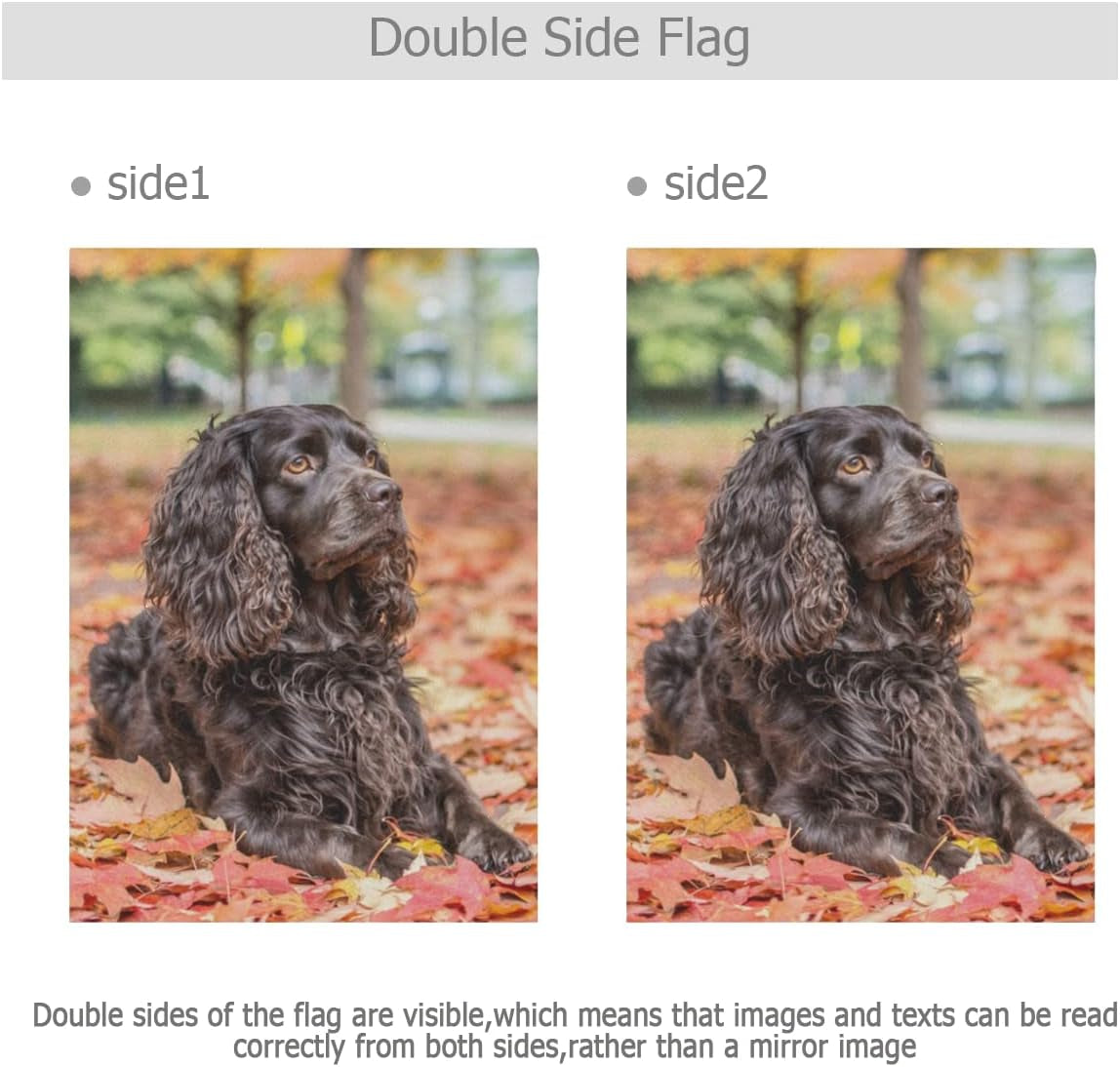 Handsome Boykin Spaniel Dog Garden Flag Double Sided 12 X 18 Inch, Yard Flags, Decorative Small Garden Flags, Outdoor Lawn and Garden Décor