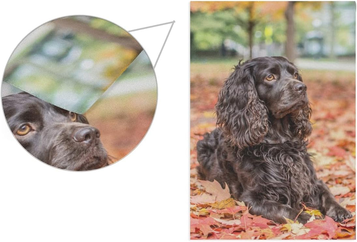 Handsome Boykin Spaniel Dog Garden Flag Double Sided 12 X 18 Inch, Yard Flags, Decorative Small Garden Flags, Outdoor Lawn and Garden Décor