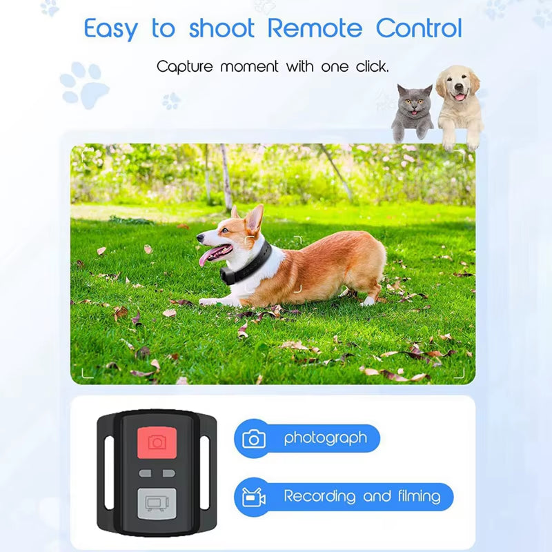 4K 30Hz Pet Collar Camera, Animal Vlog Camera Mini Action Camera for Video Records Dog Collar Camera