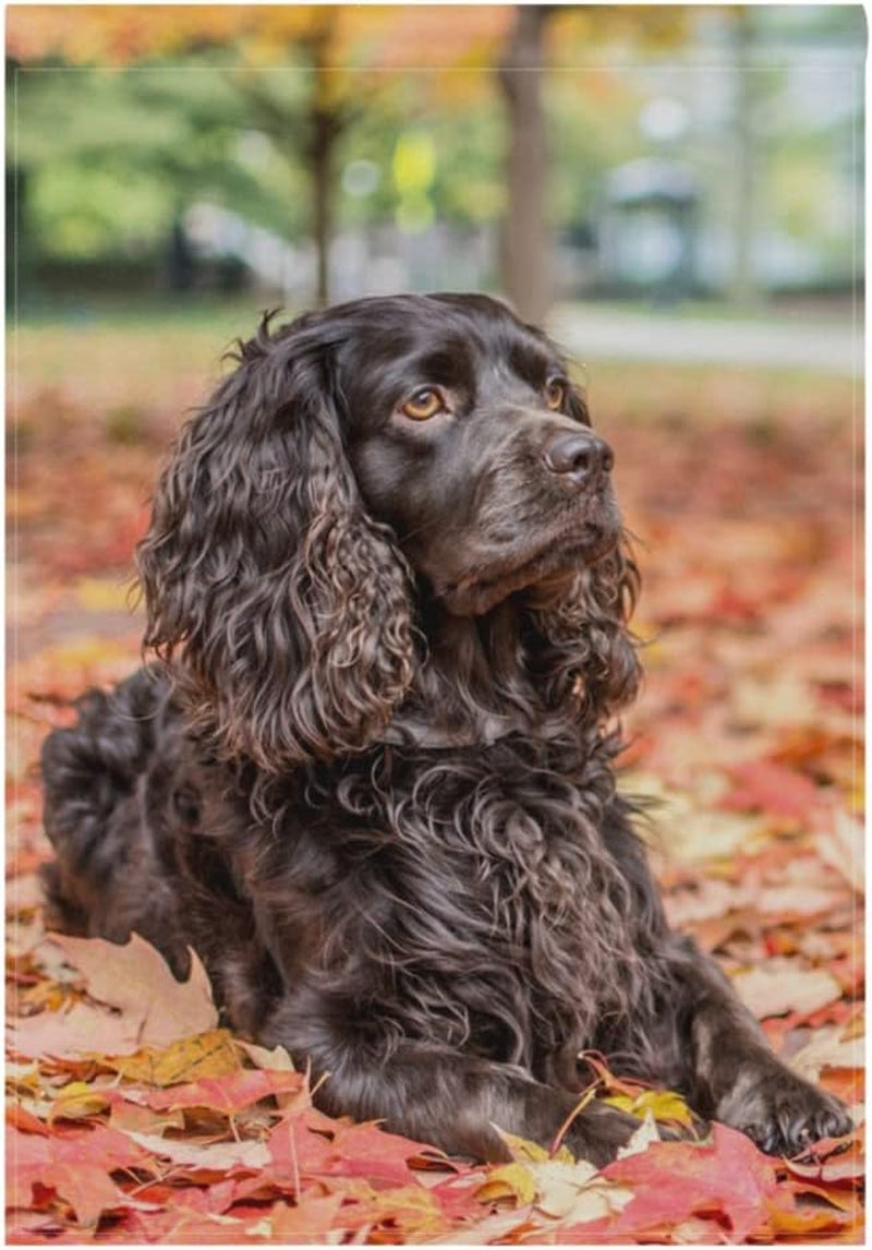 Handsome Boykin Spaniel Dog Garden Flag Double Sided 12 X 18 Inch, Yard Flags, Decorative Small Garden Flags, Outdoor Lawn and Garden Décor